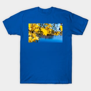 Yellow maple leaves in autumn season T-Shirt